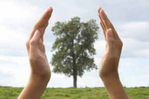 hands_tree_300x200